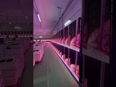 شاشة الشباك الشفافة LED تأجير الأحداث نافذة شاشة الستار الزجاجية P3.91 إلى P7.82